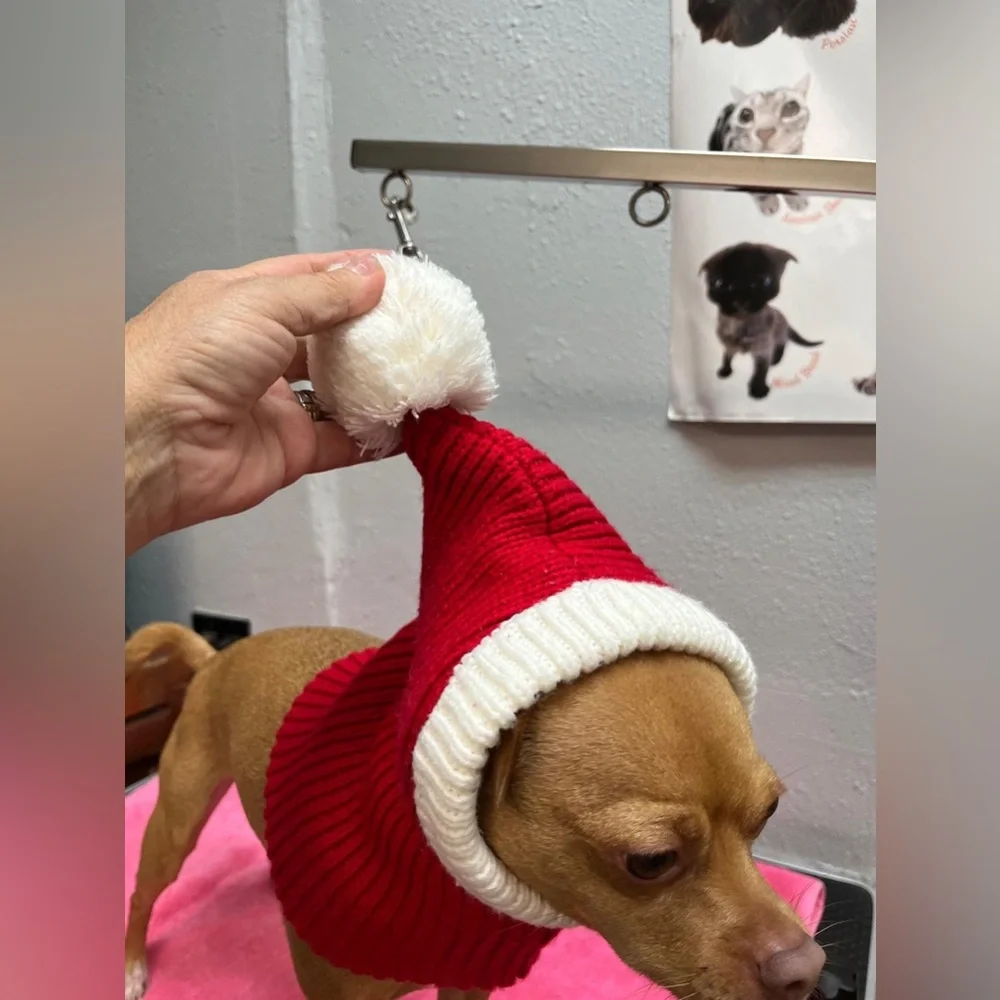 Red and White Dog Christmas Hat
